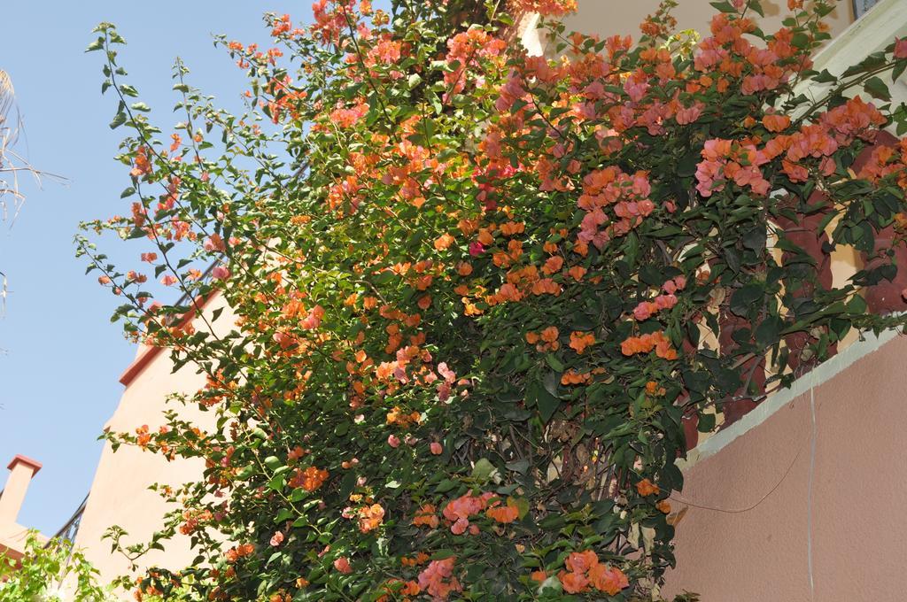 Appartamento Zina Marrakesh Camera foto